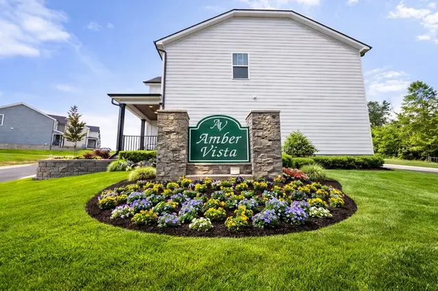 Amber Vista in Knoxville