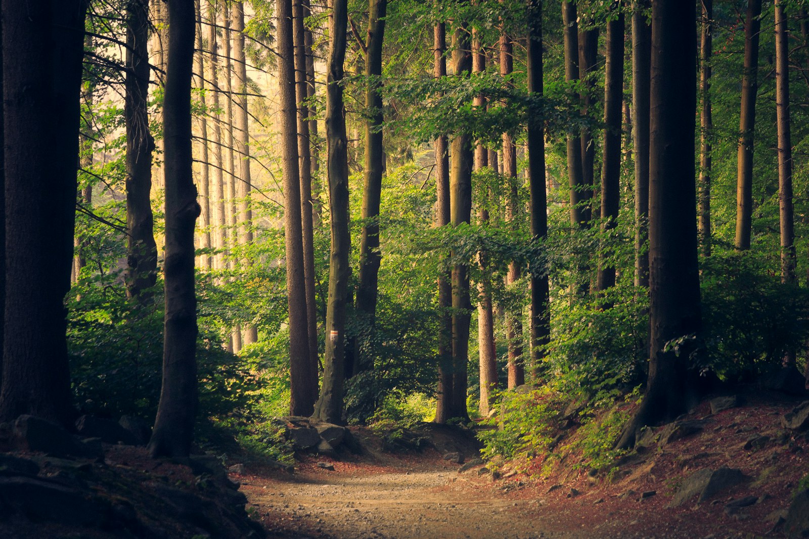 Outdoor recreation near Lenoir City, TN